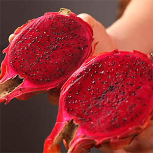 red dragon fruit